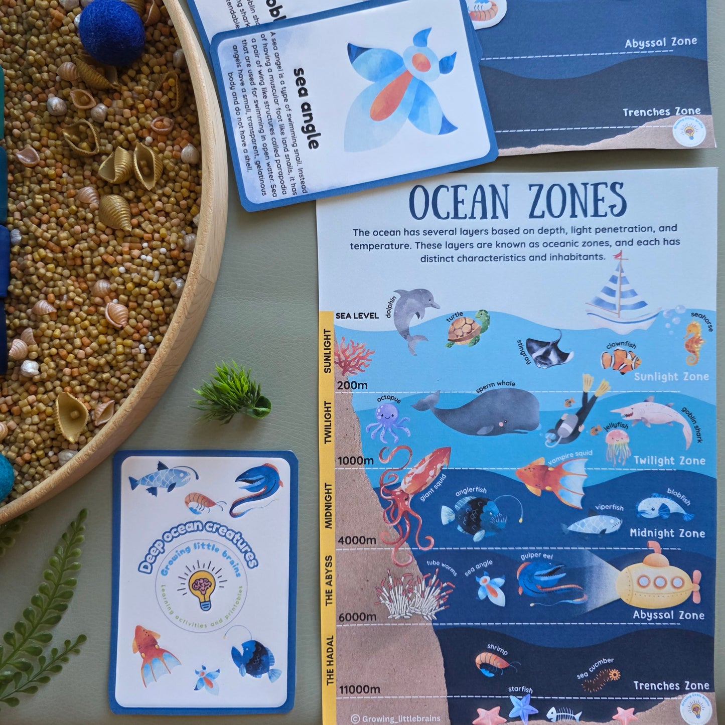 Ocean Layer blocks