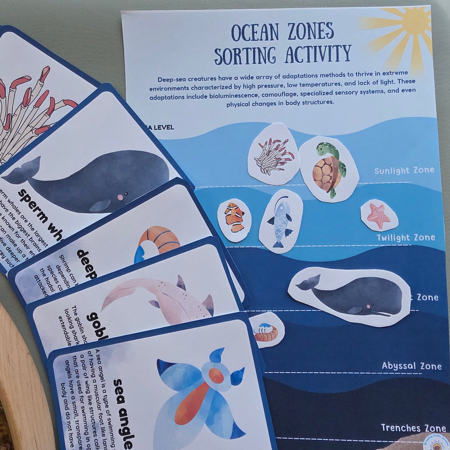 Ocean Layer blocks
