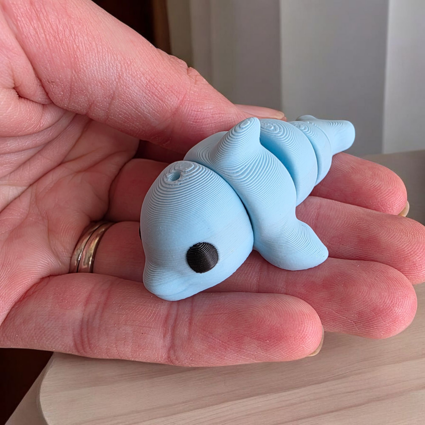 Ocean pals