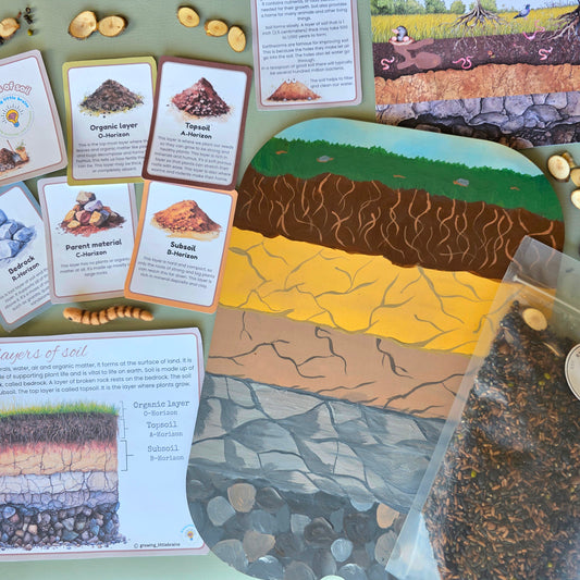 Soil Layer Learning Flisat kit
