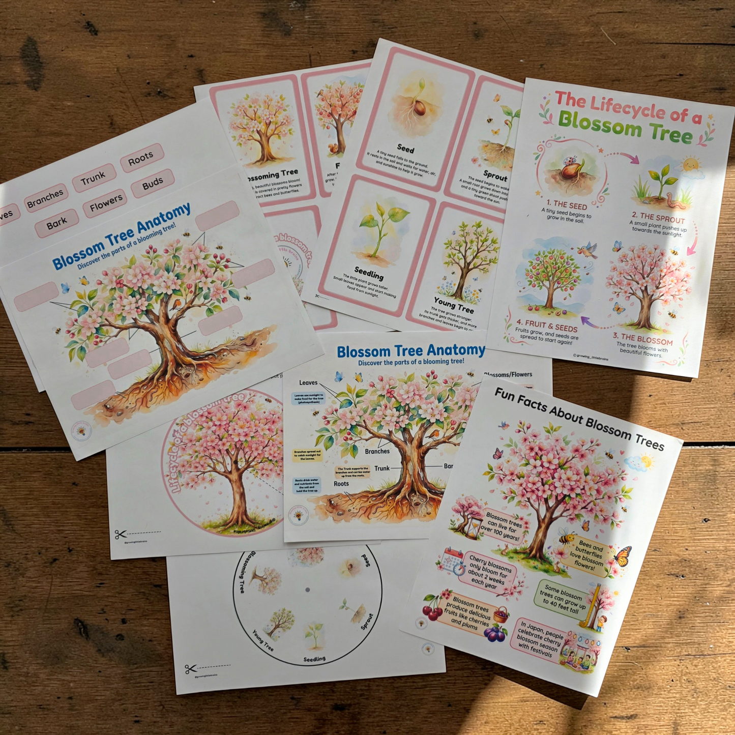 Sakura Season Sensory Kit