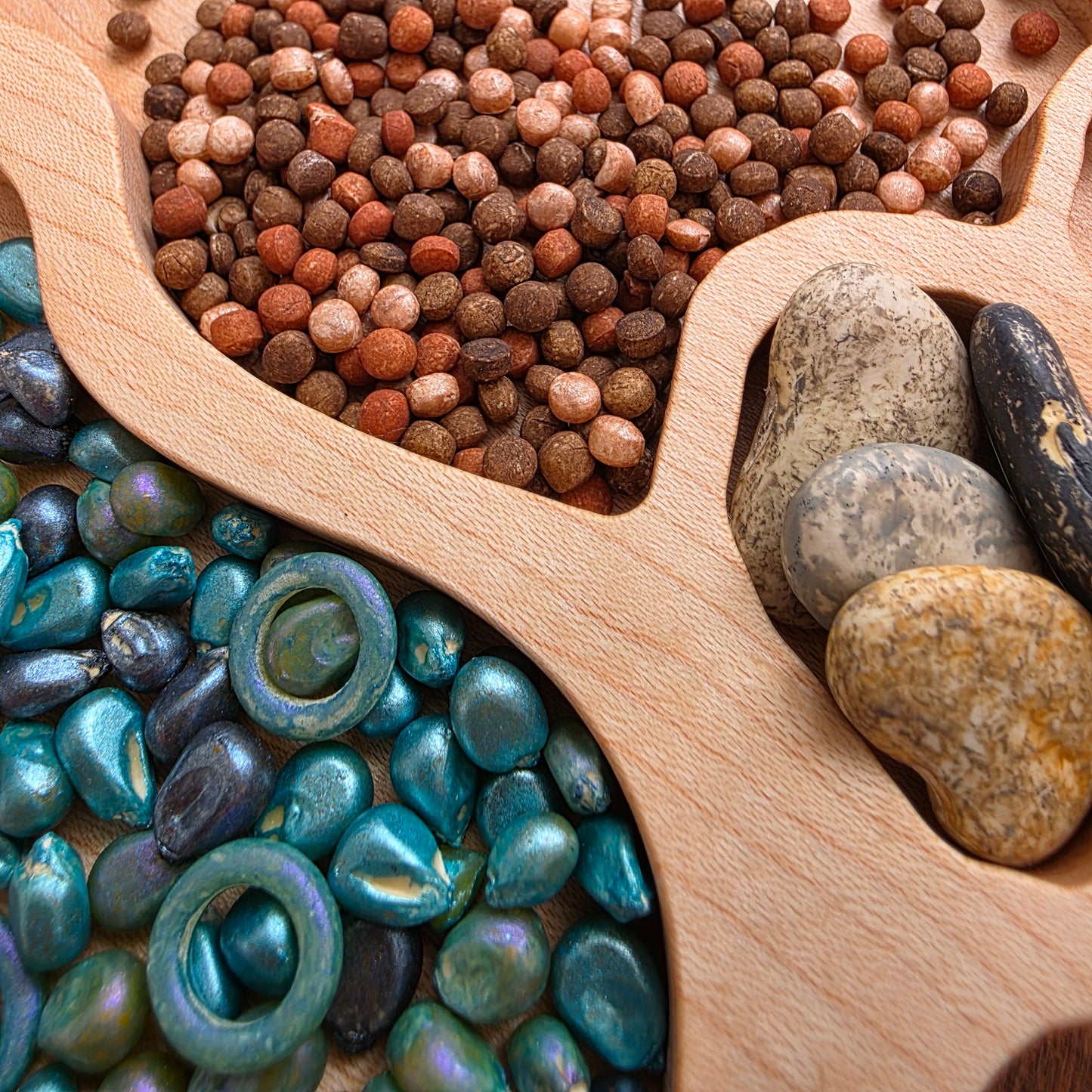 Growing Minds Sensory Kit