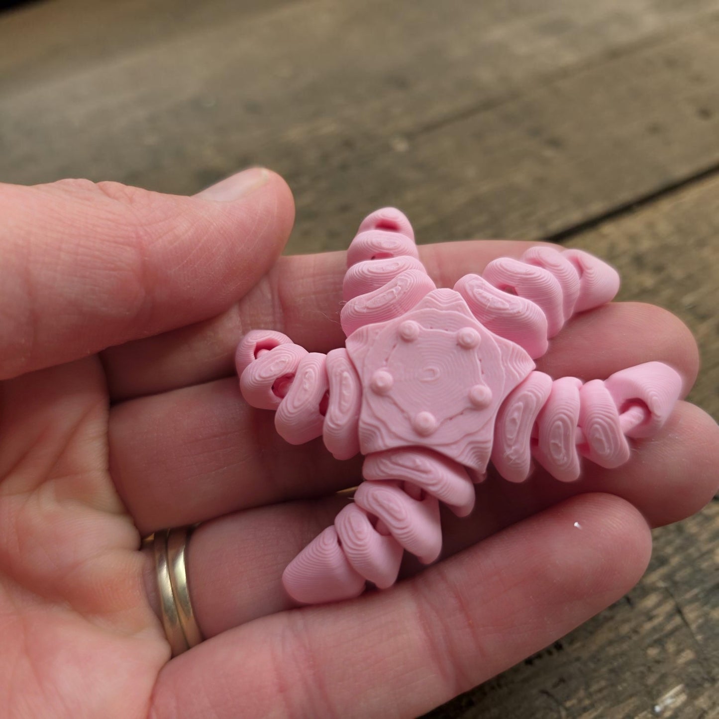 3D Ocean Friends