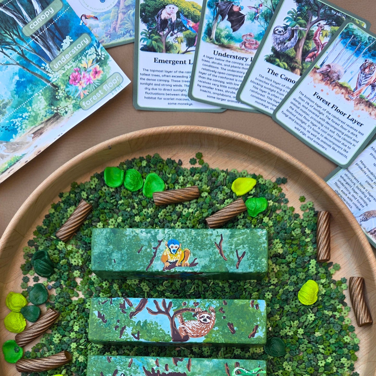Rain Forest Layer Blocks