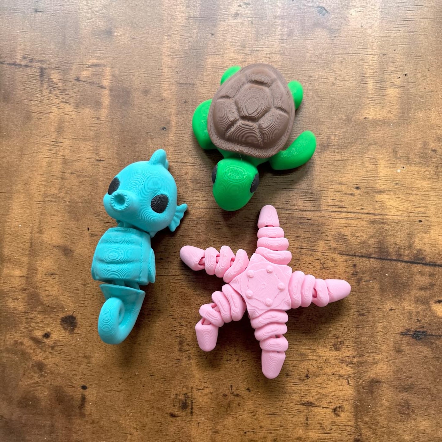 Coral Cove Magic Mini Kit