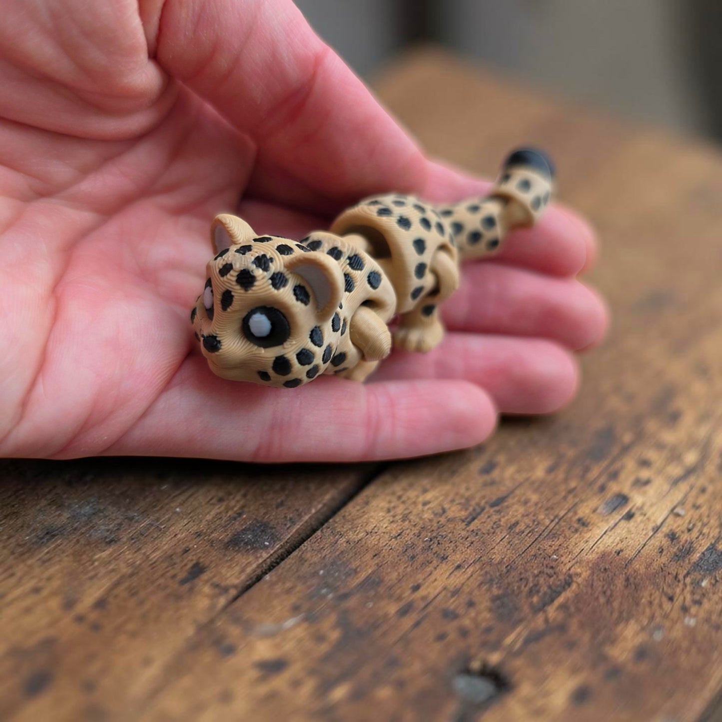 3D Rainforest Friends